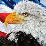 Load image into Gallery viewer, American Eagle | Diamond Painting
