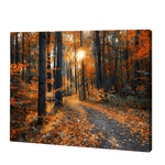 Load image into Gallery viewer, Autumn Trees In Jungle | Diamond Painting
