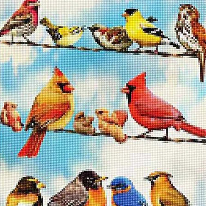 Birds on a Wire Diamond Painting