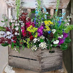 Load image into Gallery viewer, Colorful Flowers In A Box | Diamond Painting
