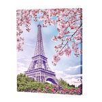 Load image into Gallery viewer, Eiffel Tower Landscape Beauty | Diamond Painting

