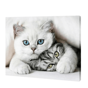 Friendly Cats | Diamond Painting