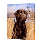 Load image into Gallery viewer, Labrador In A Field | Diamond Painting
