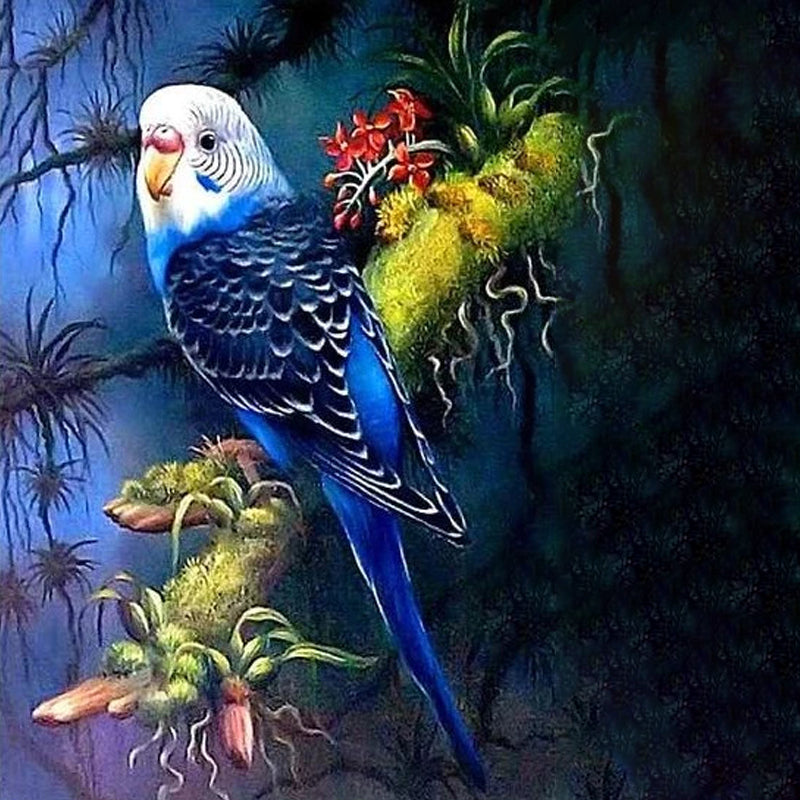 Parrot At Night | Diamond Painting