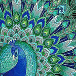 Load image into Gallery viewer, Peacock Beauty Diamond Painting
