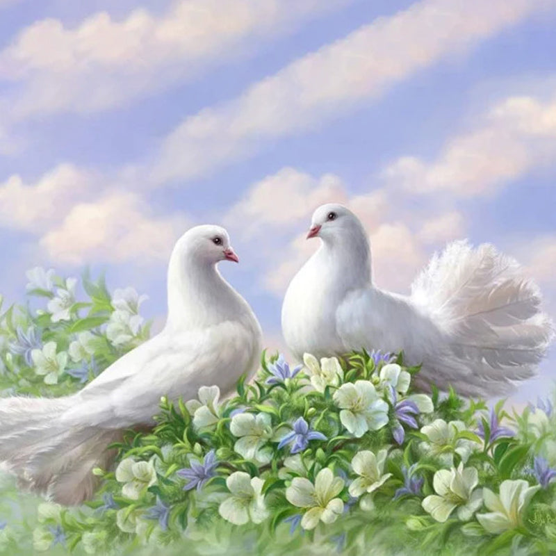 Pigeon Love | Diamond Painting