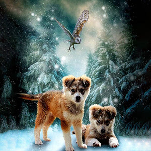 Puppies In A Snowy Night | Diamond Painting