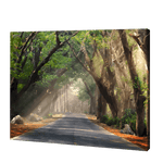 Load image into Gallery viewer, Road Covered With Trees | Diamond Painting
