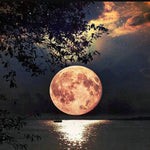 Load image into Gallery viewer, The Full Moon | Diamond Painting
