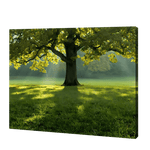 Load image into Gallery viewer, The Big Tree In Summer | Diamond Painting
