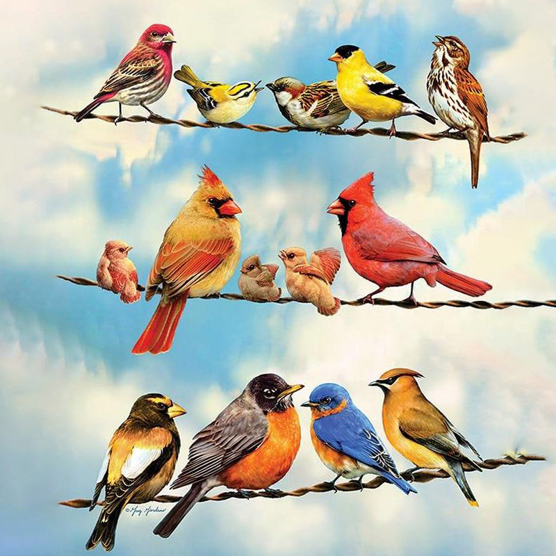 Variety Of Birds | Diamond Painting